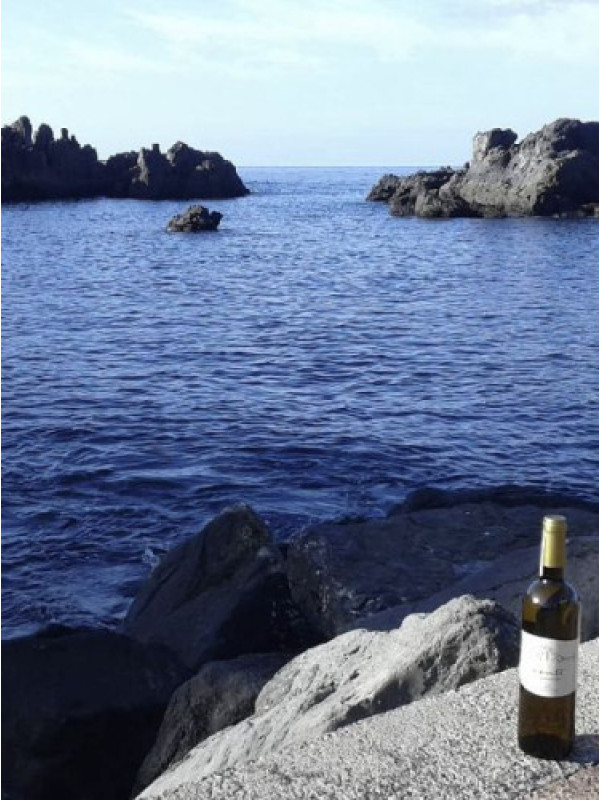 Vento Blanco Seco – D.O. Abona Tenerife